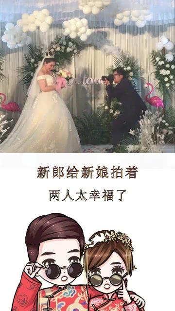 疯狂的小猫